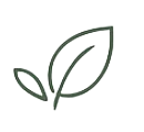 Fleur